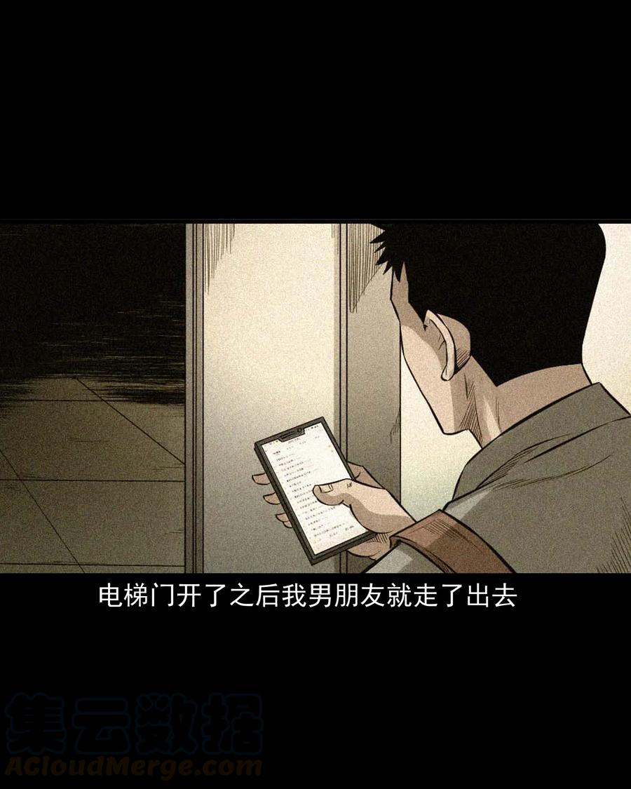 511 猫看见了什么27