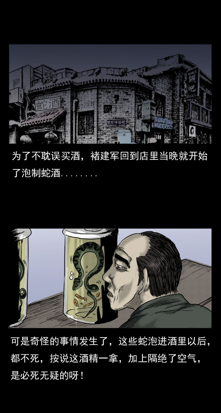 5 活蛇酒13