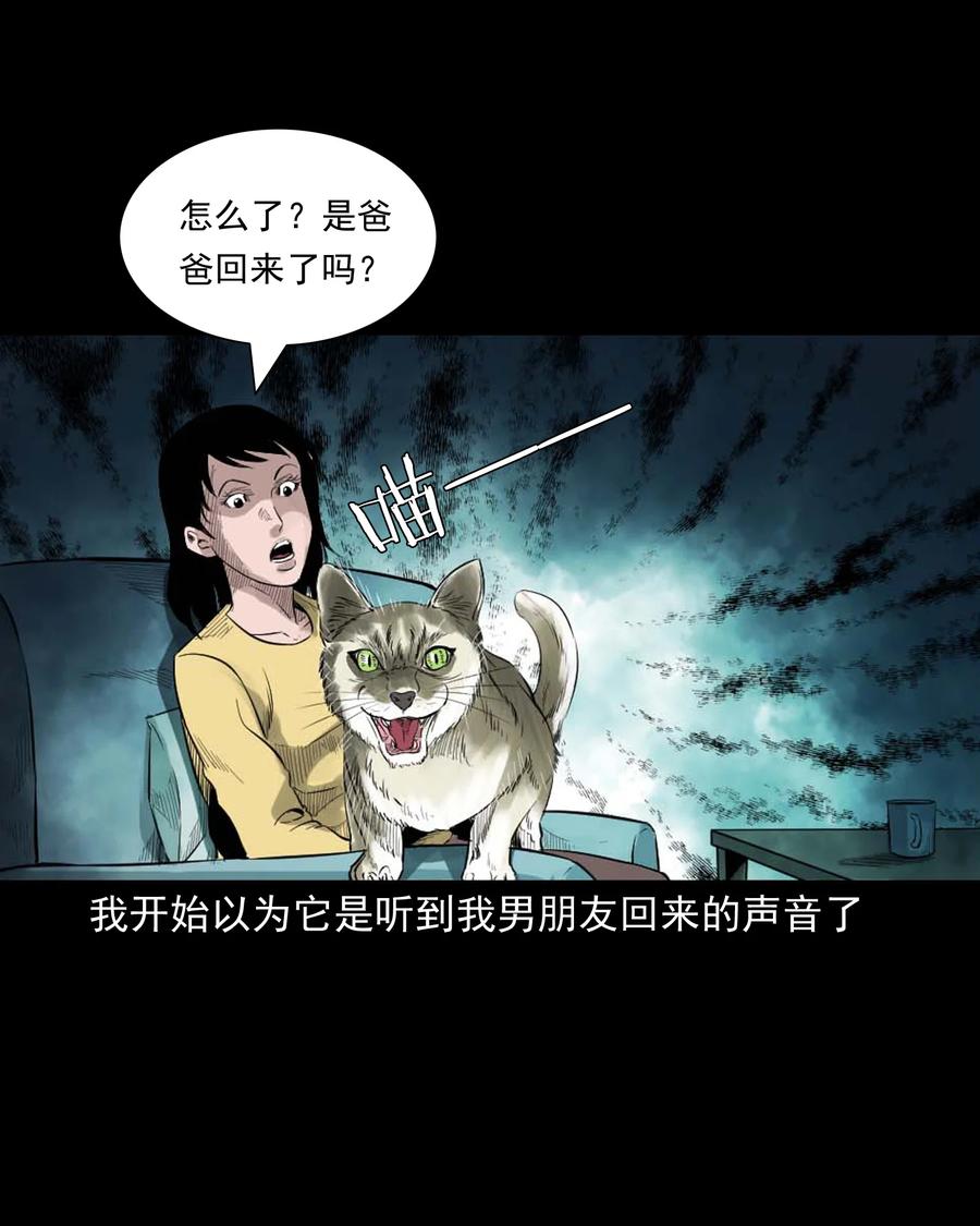 511 猫看见了什么11