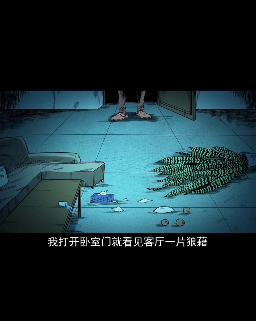 537 不速来客26