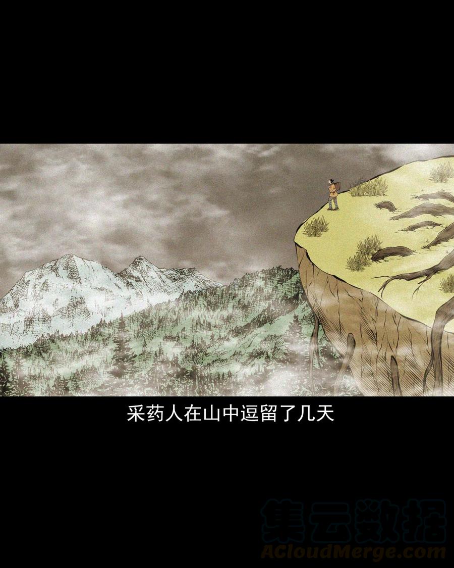 496 老烟鬼8633