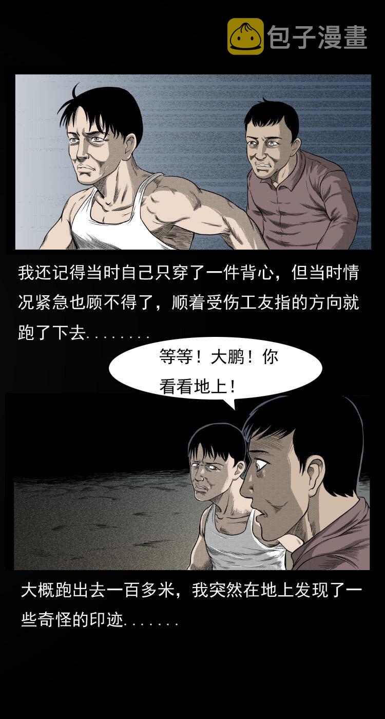 10 青藏铁路怪物事件13