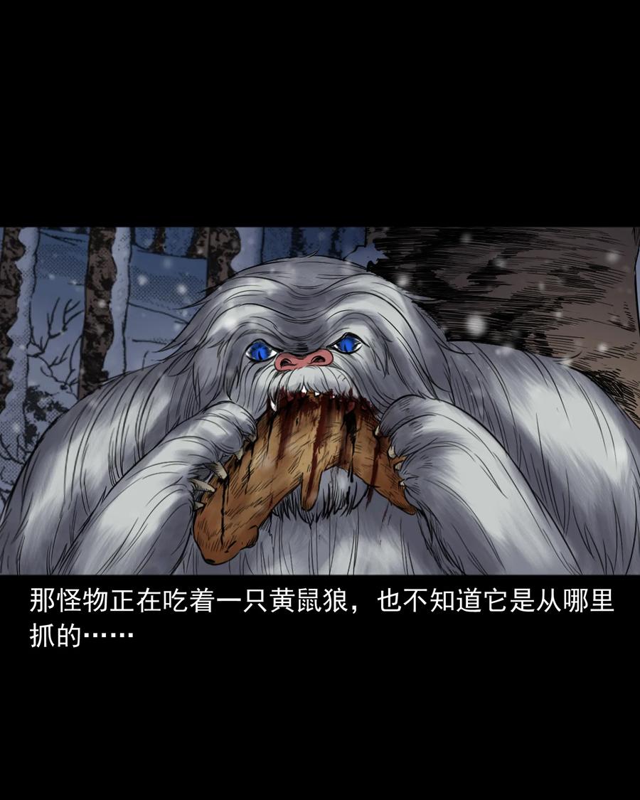355 雪怪62