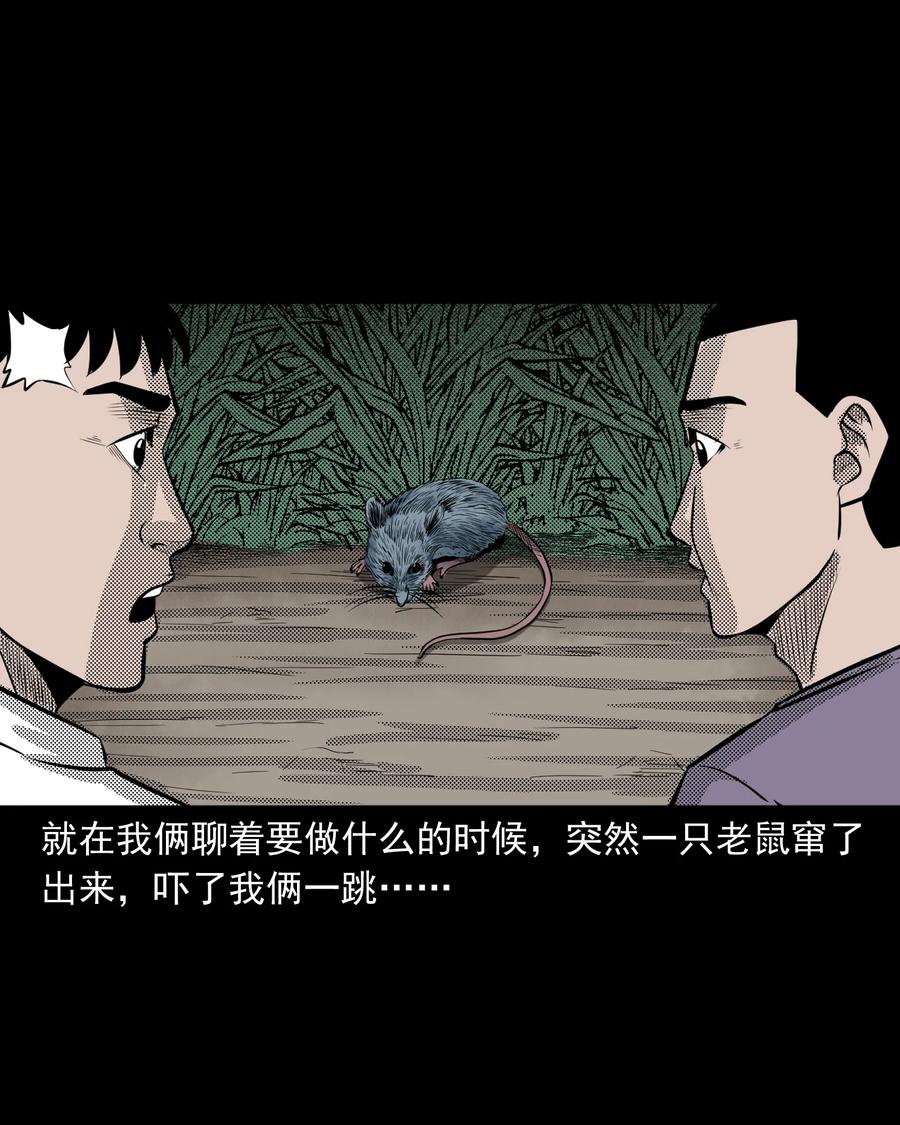 282 老鼠成仙6