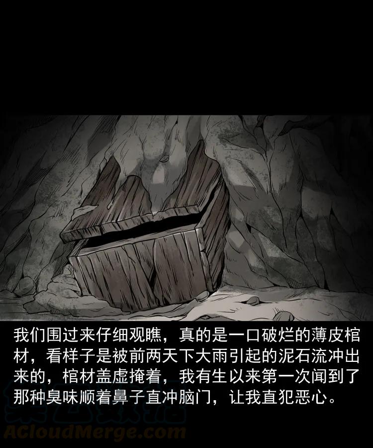 341 本命年撞煞36