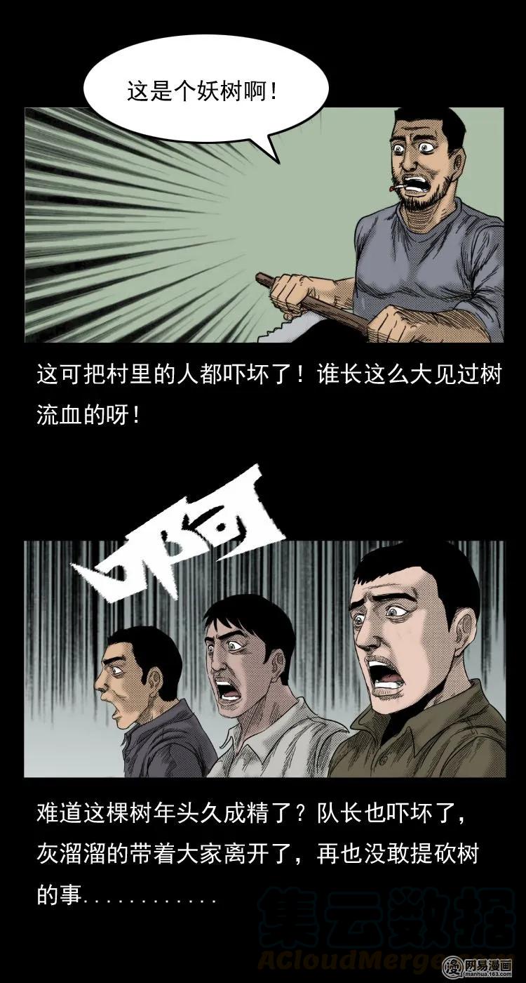 29 古树15