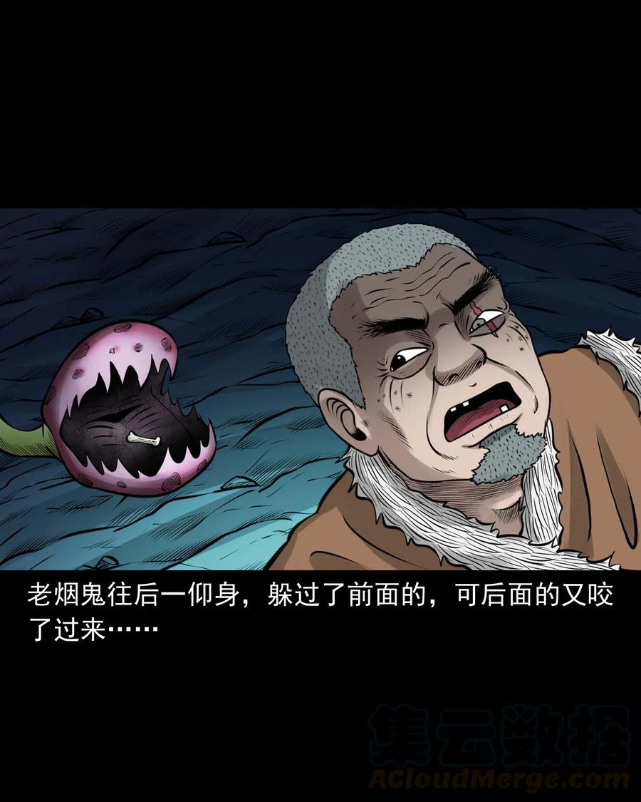494 老烟鬼8512