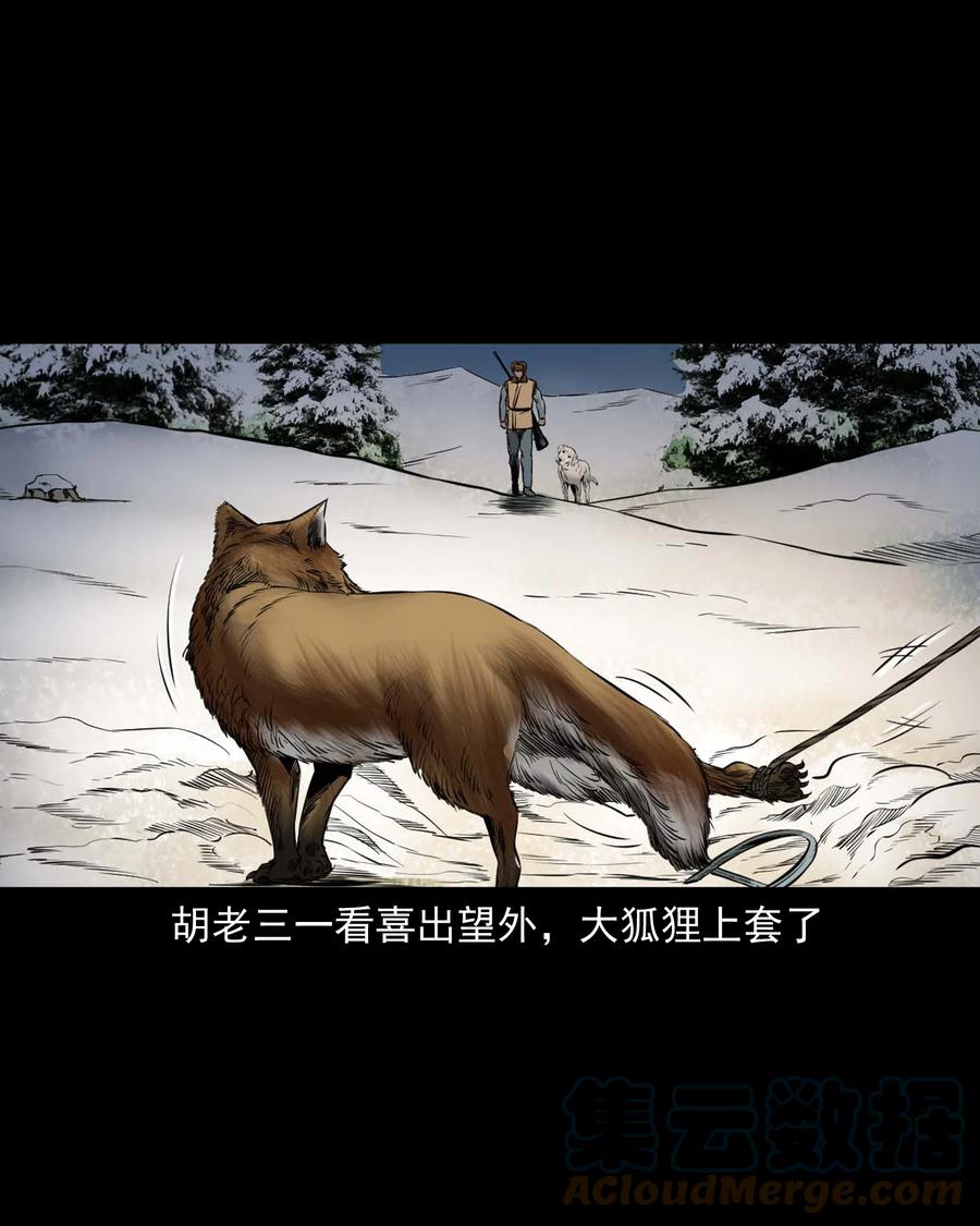 545 狐狸围脖18