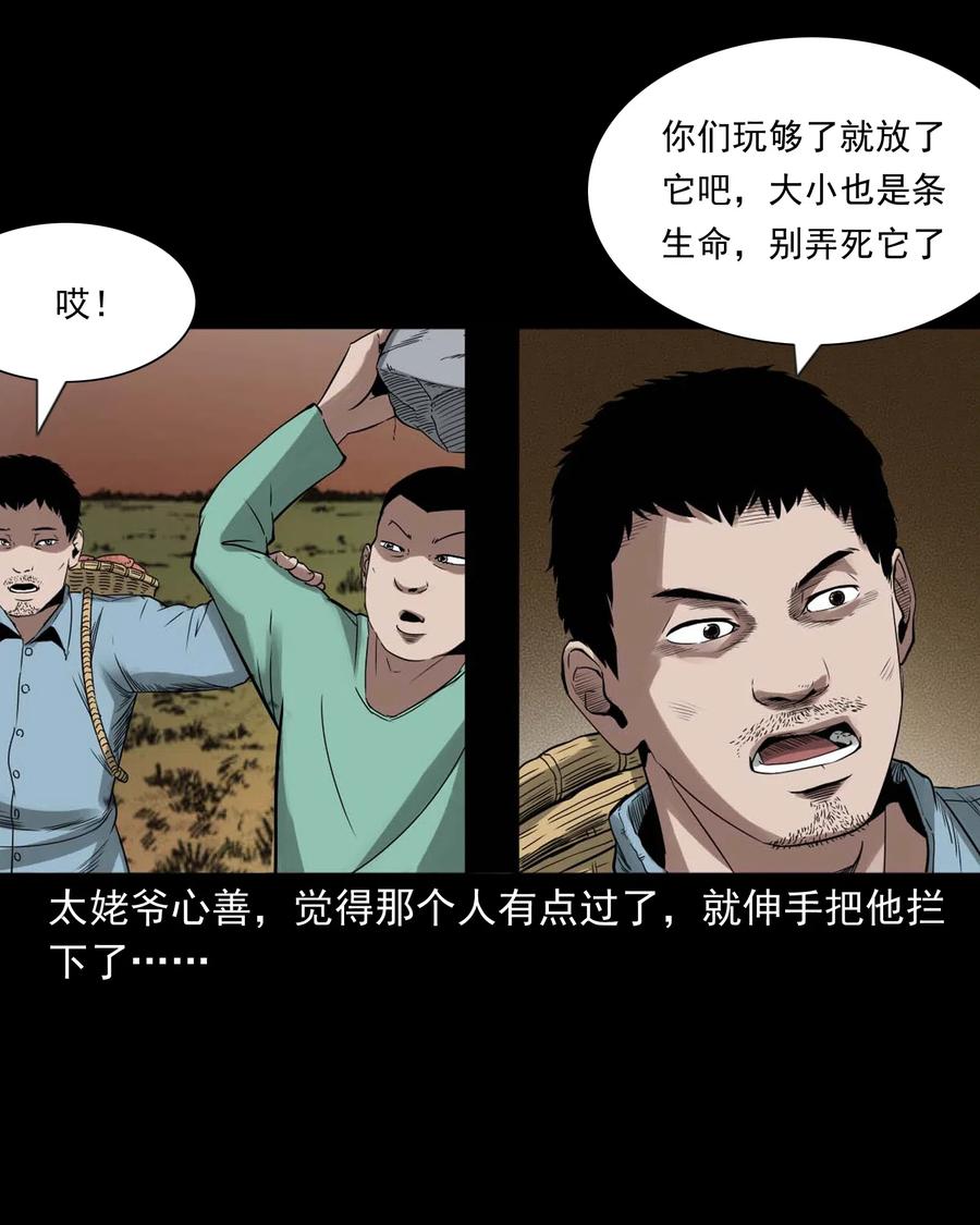 444 白神医18