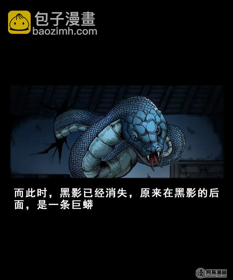 100 扎彩匠破凶宅（下）29