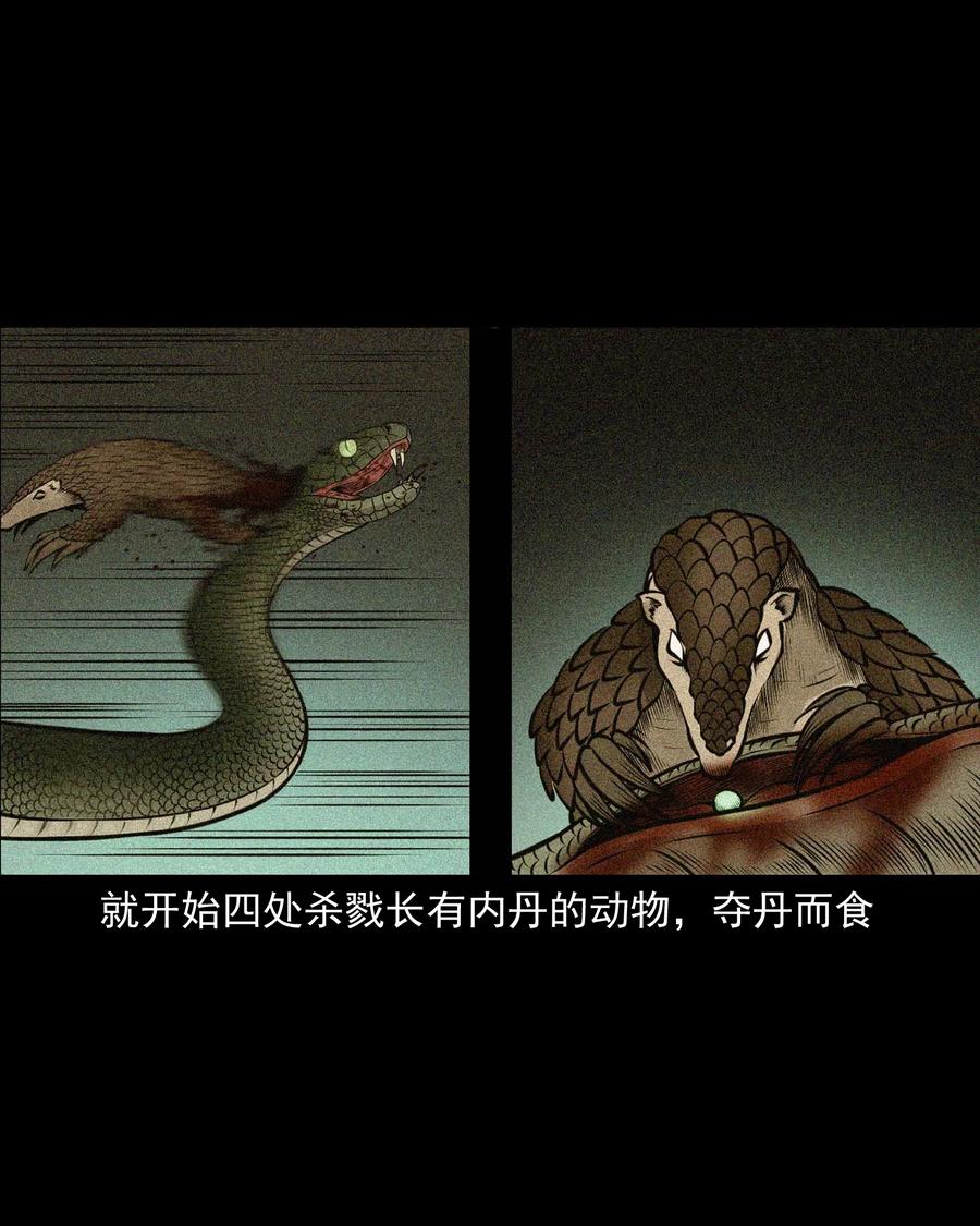 510 老烟鬼9171