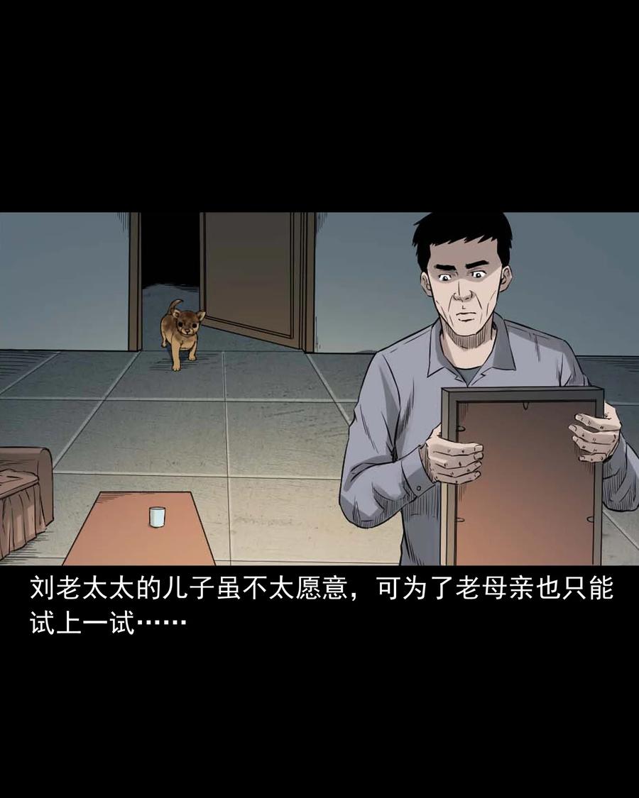 509 狗命31