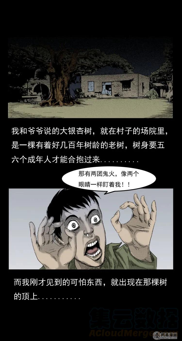29 古树6