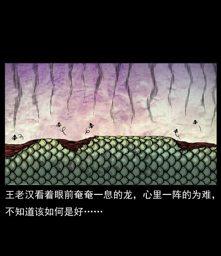 20 坠龙61