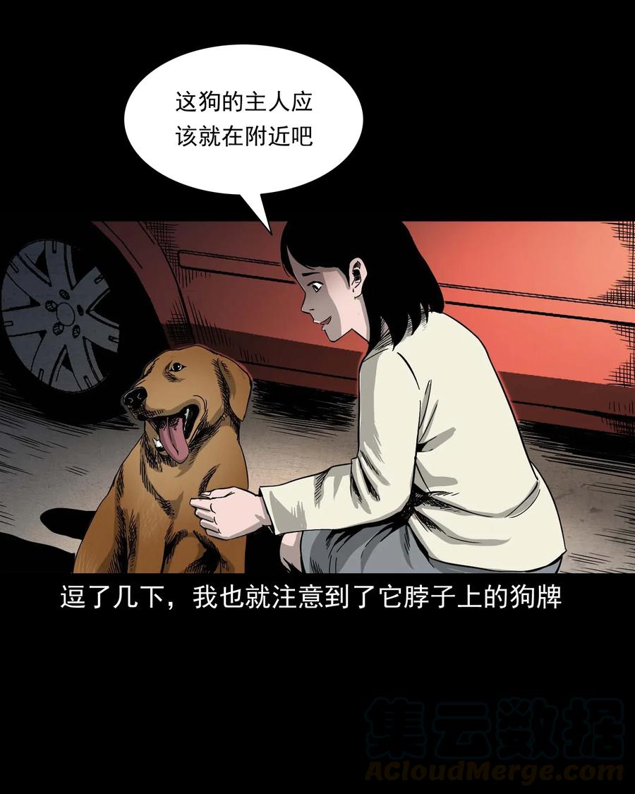 412 找狗人16