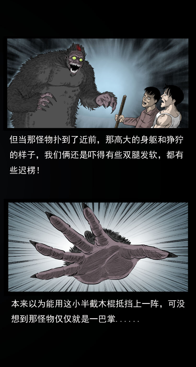 10 青藏铁路怪物事件24