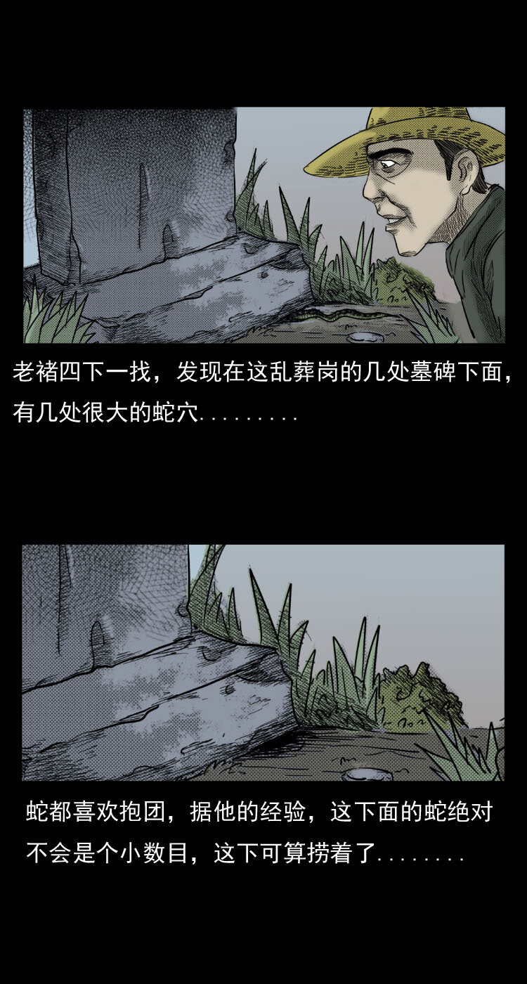 5 活蛇酒9