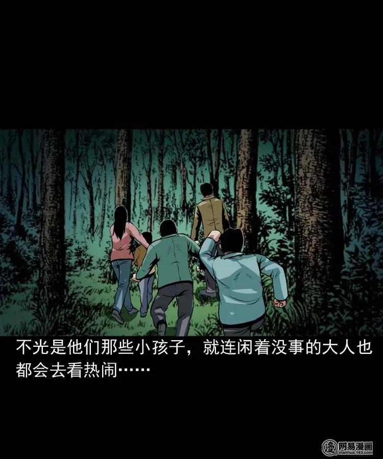 178 发夹3