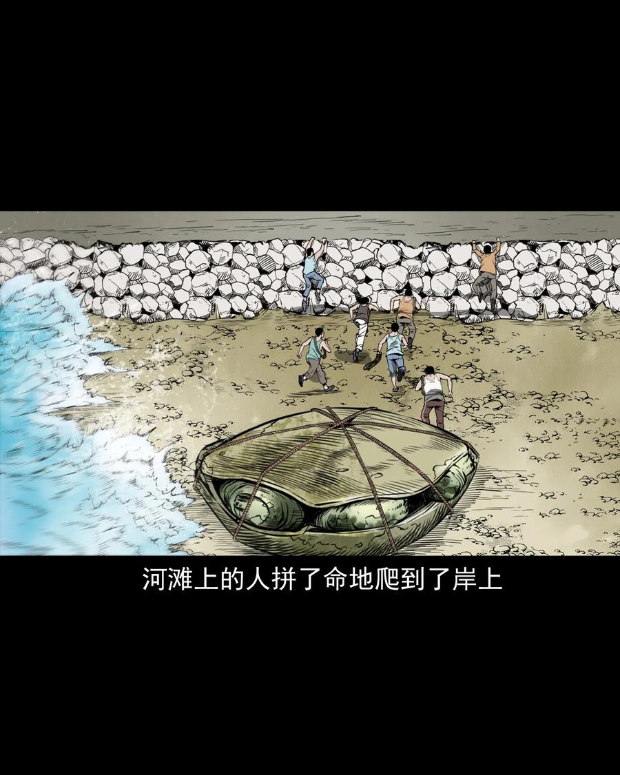 493 大王八35