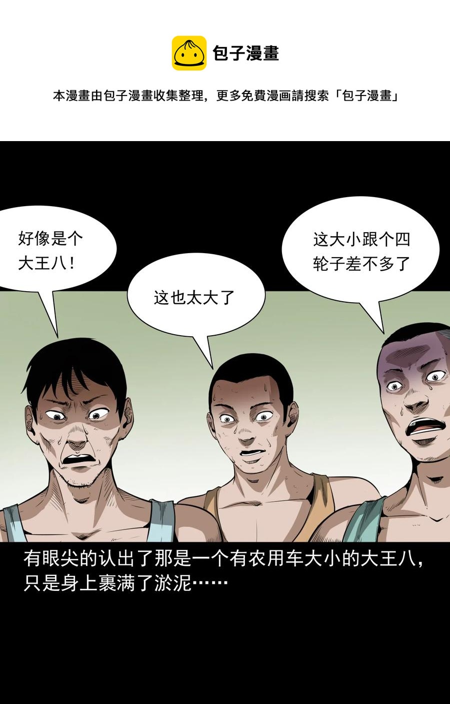 493 大王八11