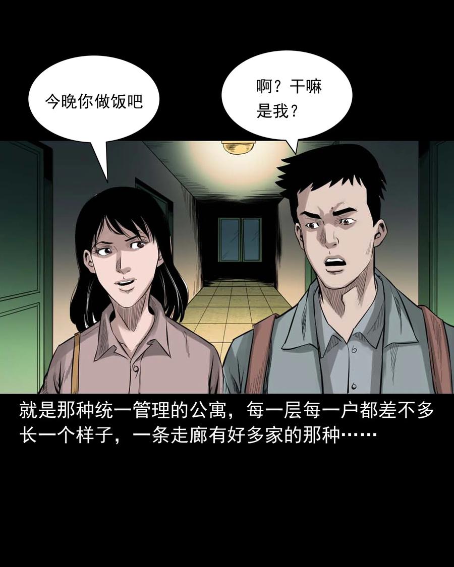 511 猫看见了什么2