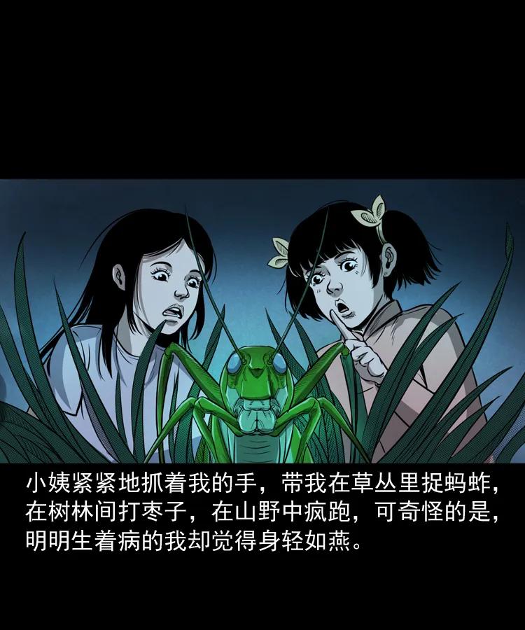 298 小姨19