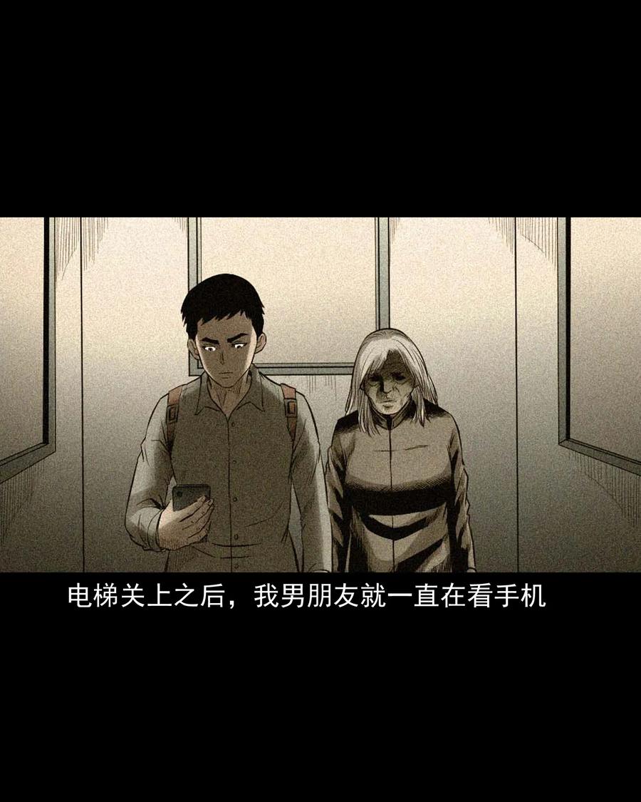 511 猫看见了什么25