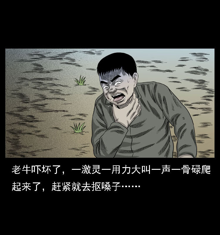 18 寄生物26