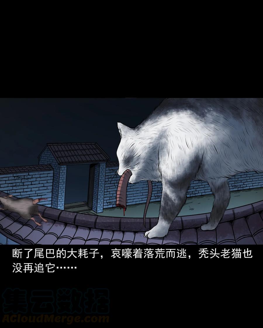 347 老烟鬼（十四）48