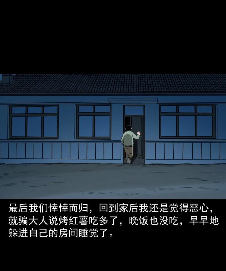 341 本命年撞煞66