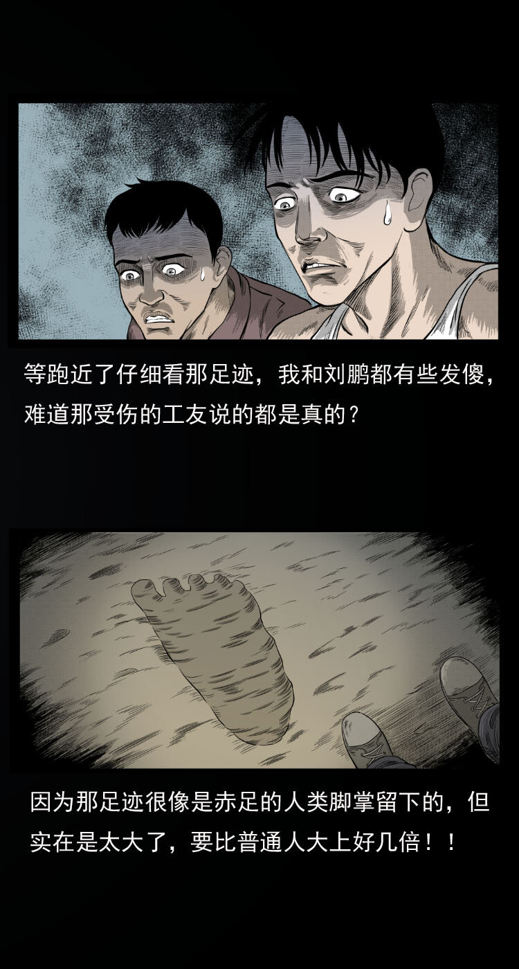 10 青藏铁路怪物事件15