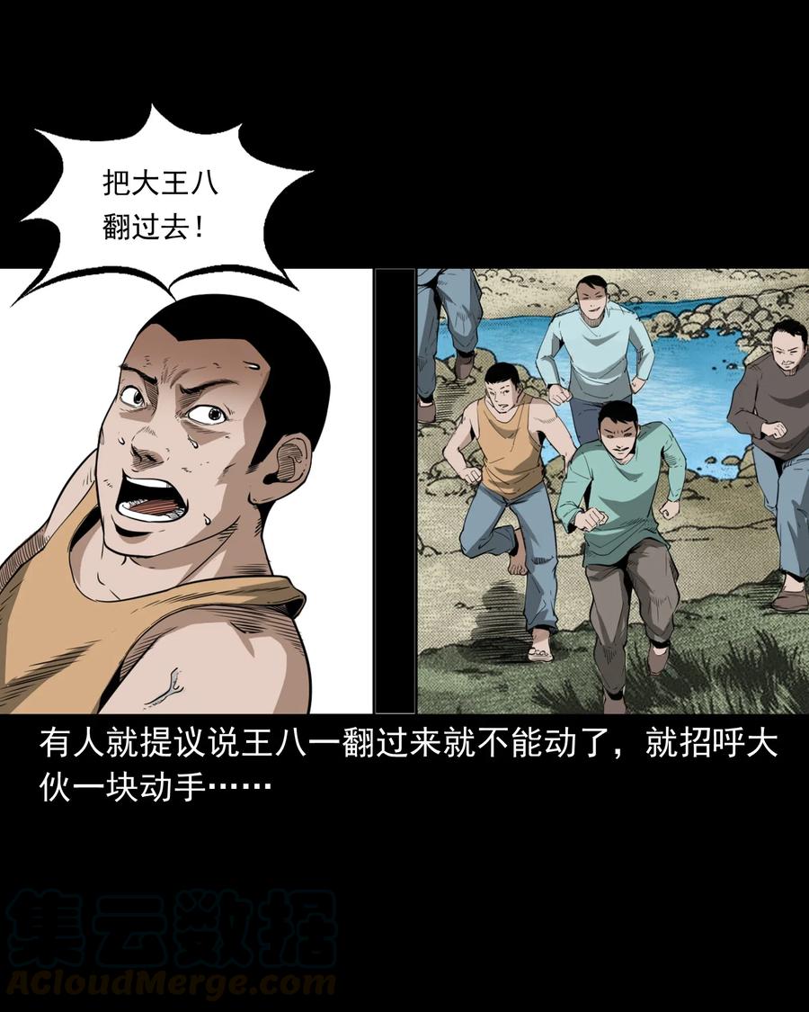 493 大王八18