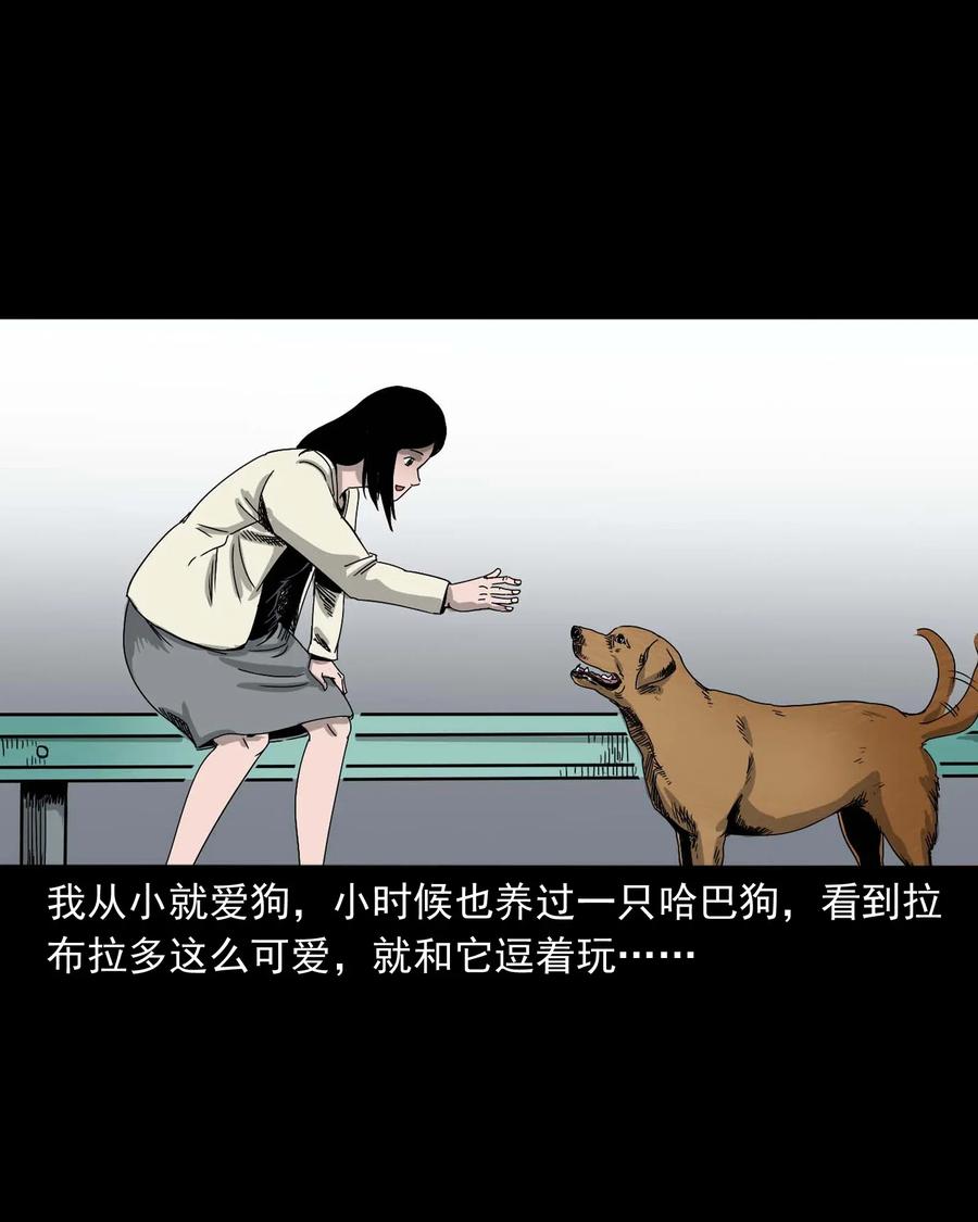 412 找狗人15