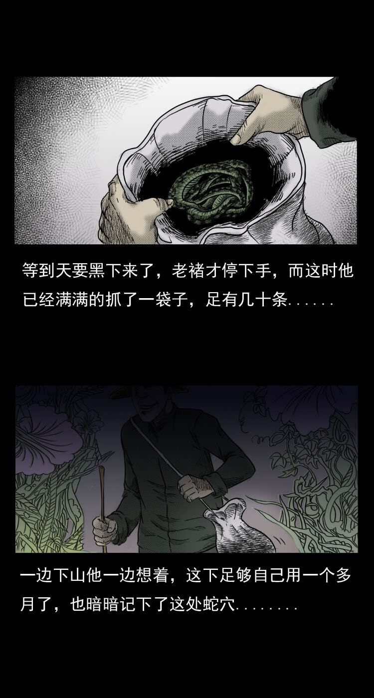 5 活蛇酒12