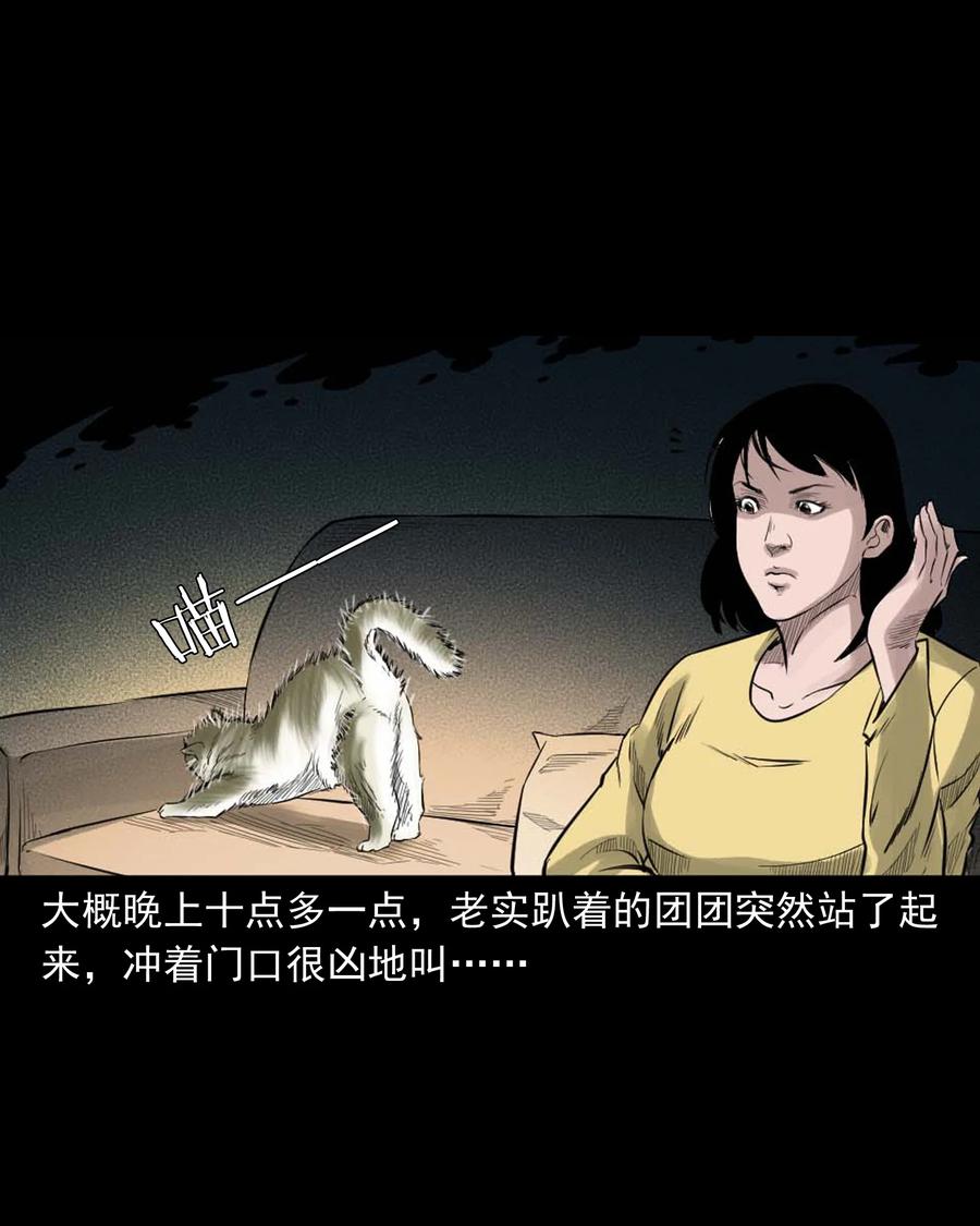 511 猫看见了什么10