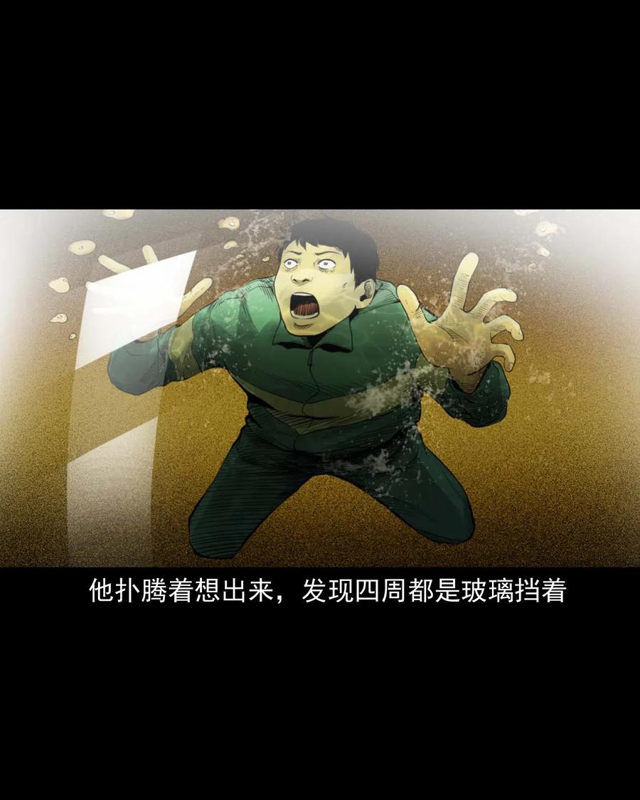 495 药酒47
