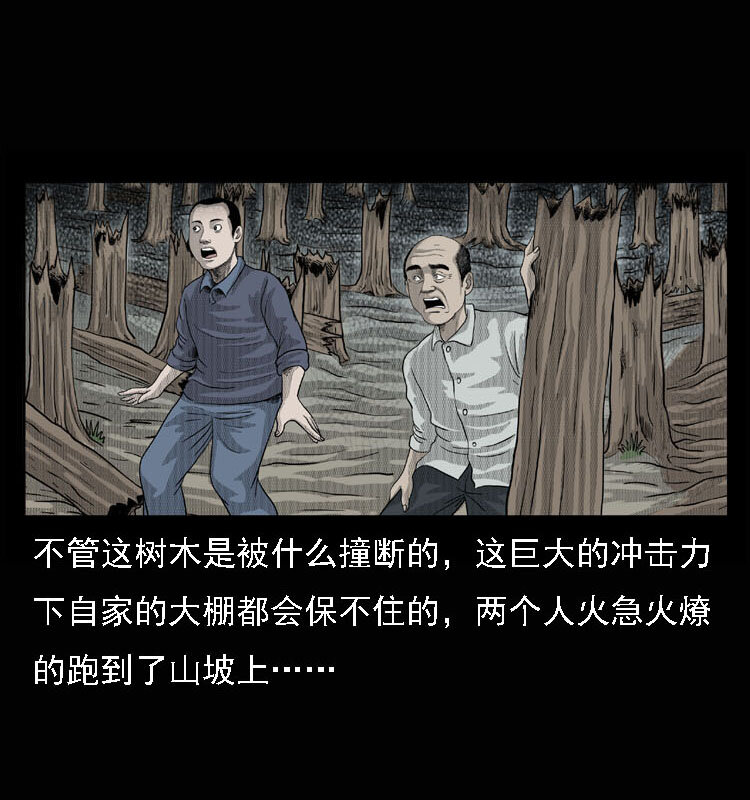 15 空中怪车事件57