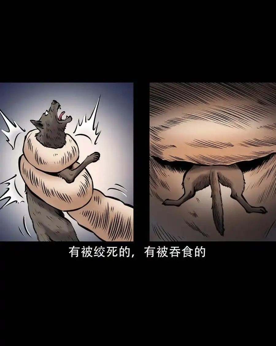 666 老烟鬼177话4