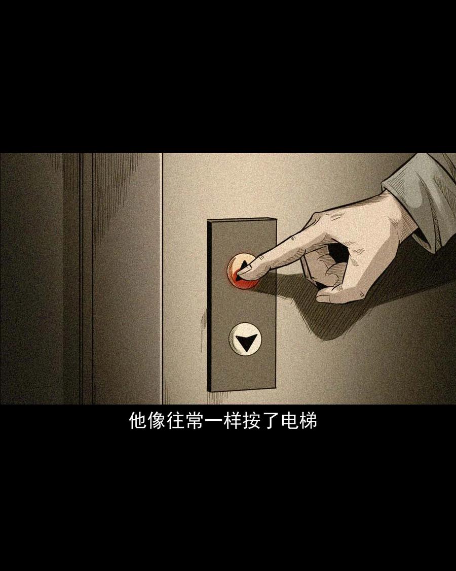 511 猫看见了什么22