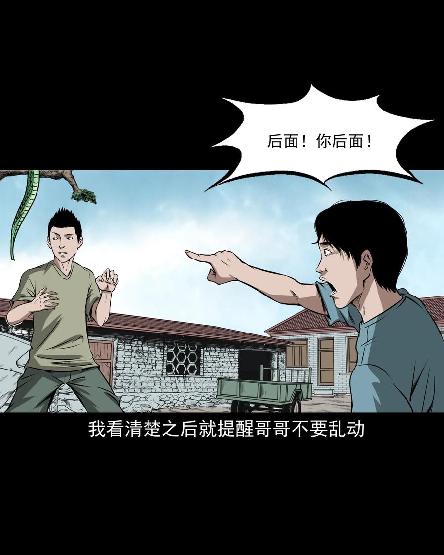 291 蛇祸17