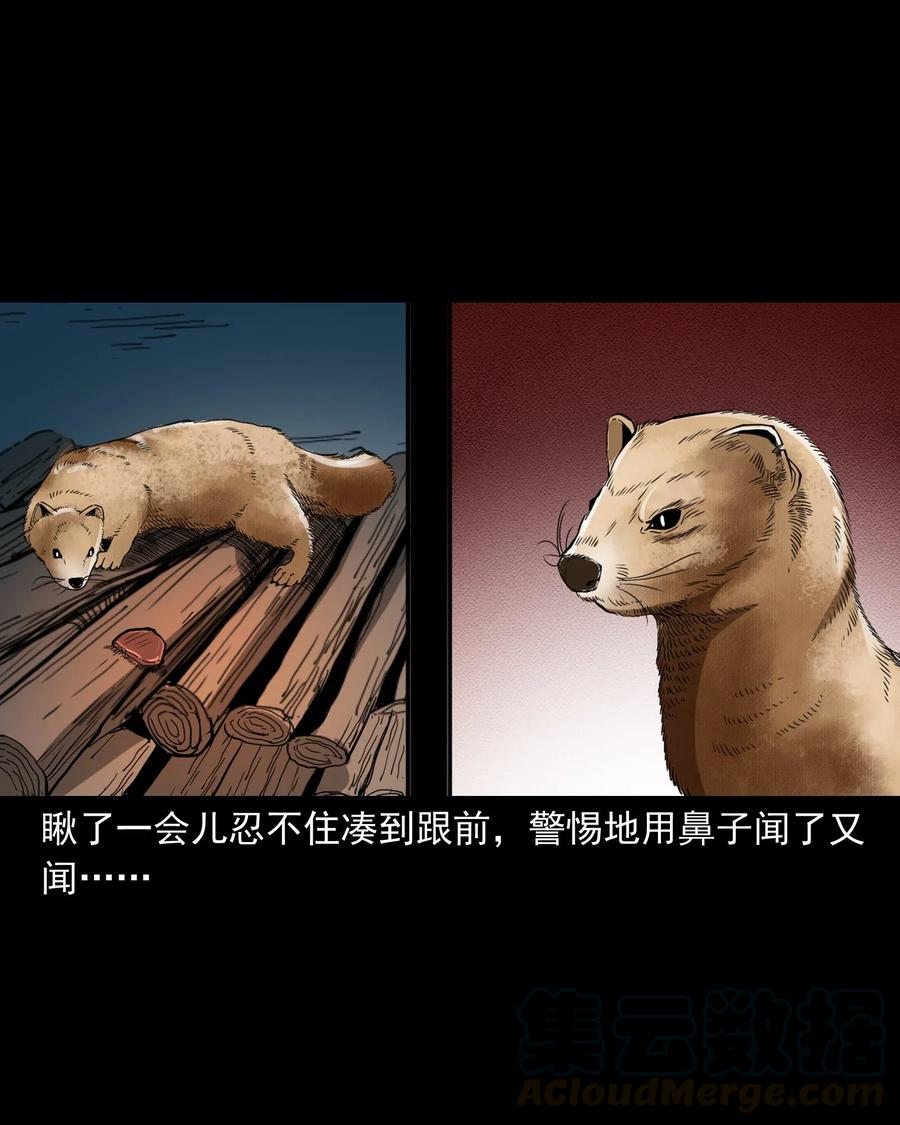 442 黄大仙12