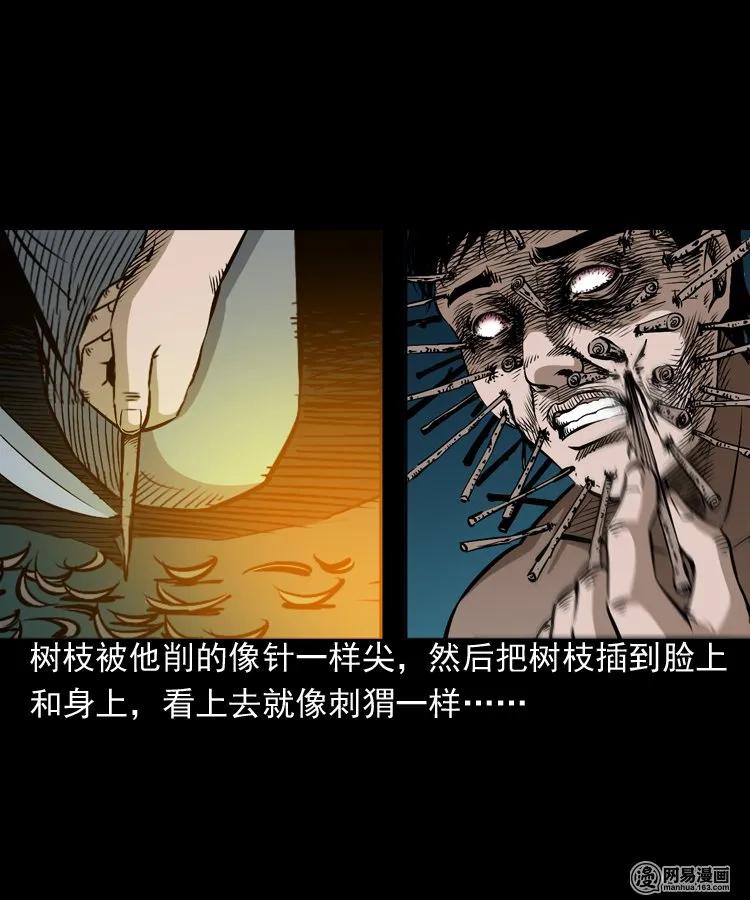 168 刺猬41