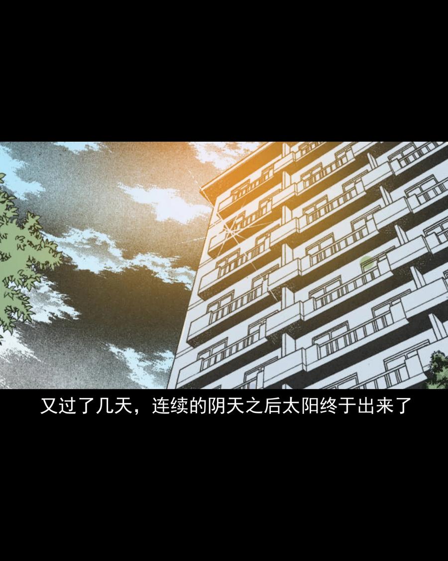 388 叶落归根38