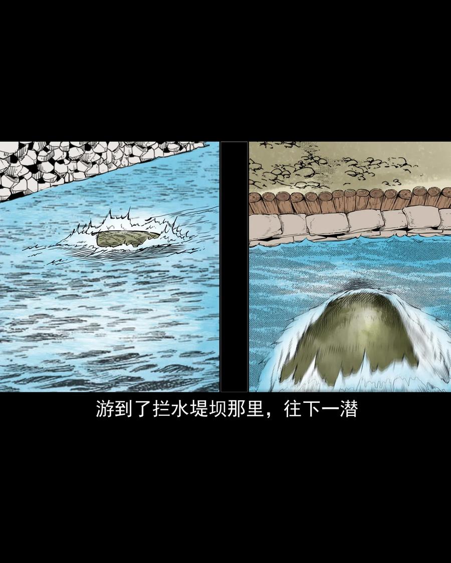 493 大王八43