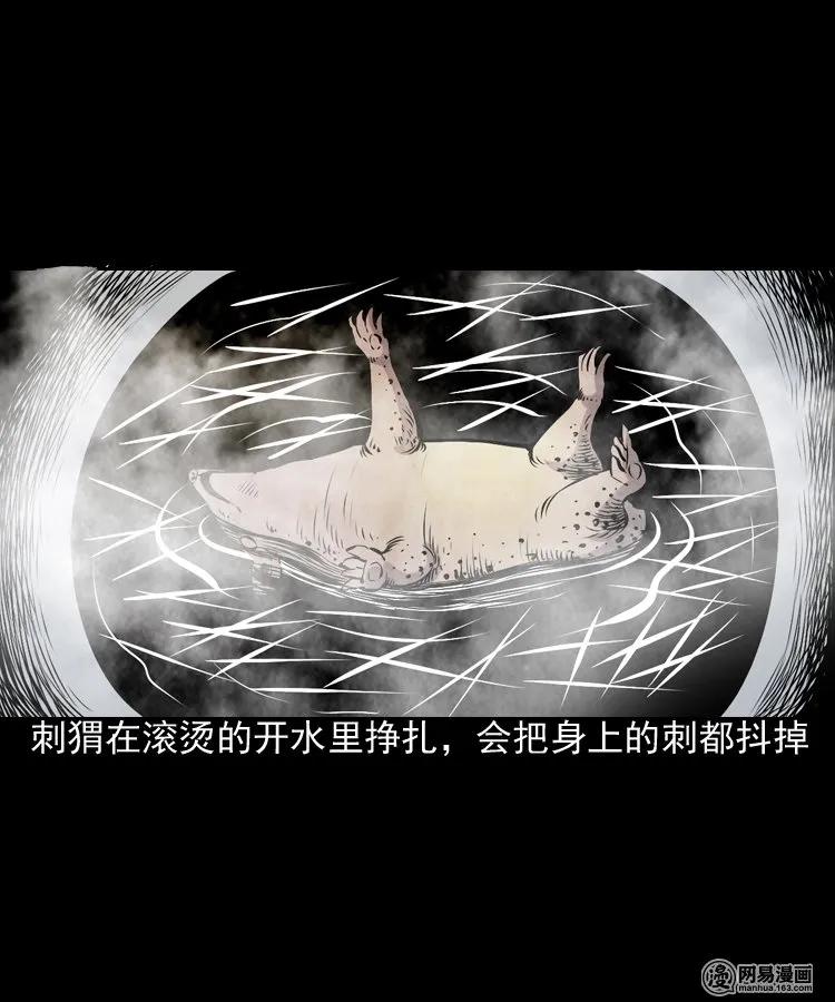 168 刺猬17