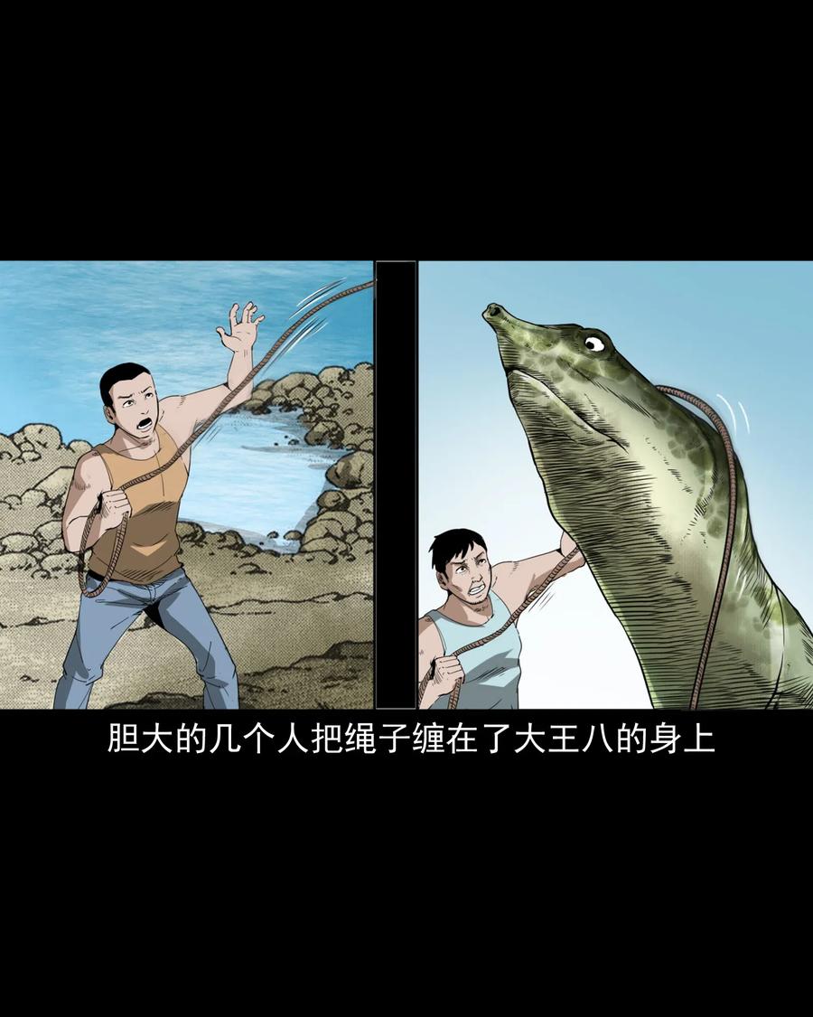 493 大王八14