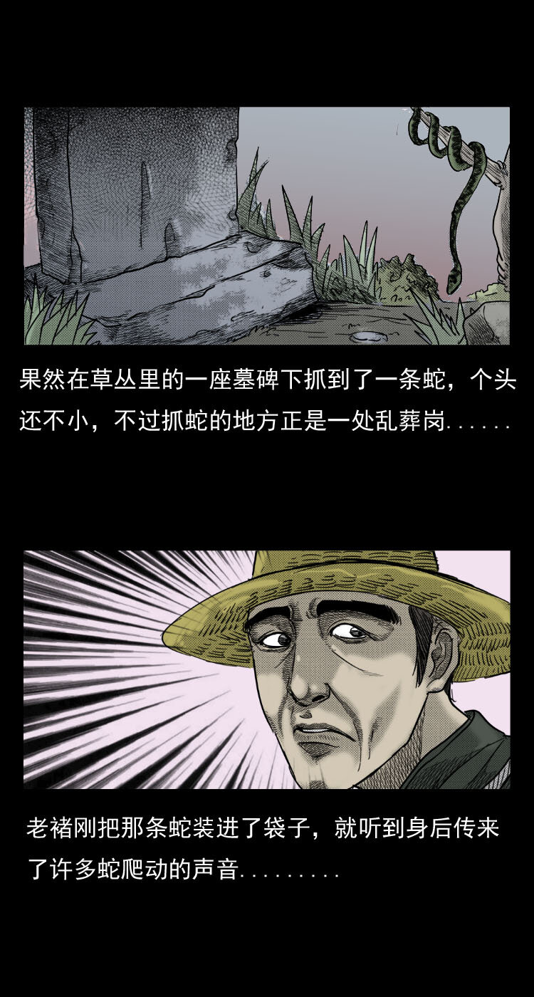 5 活蛇酒8