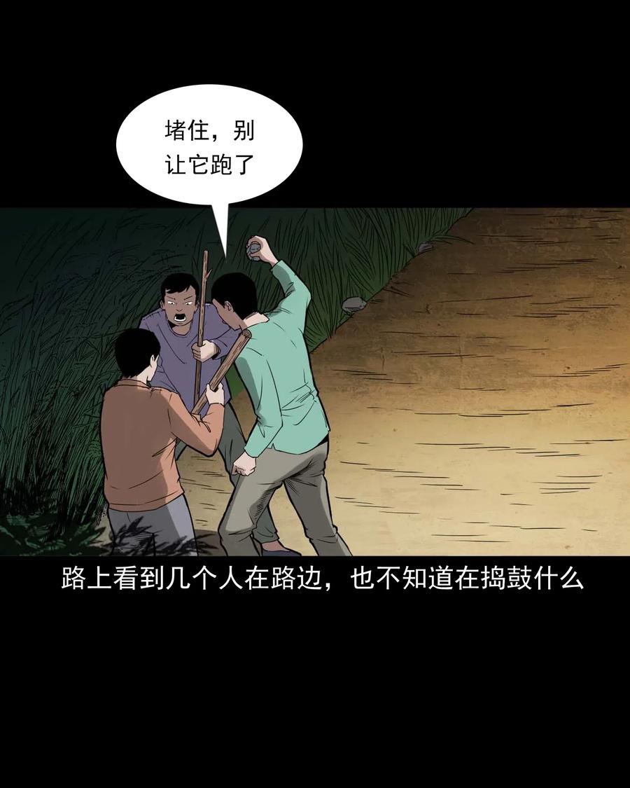 444 白神医13