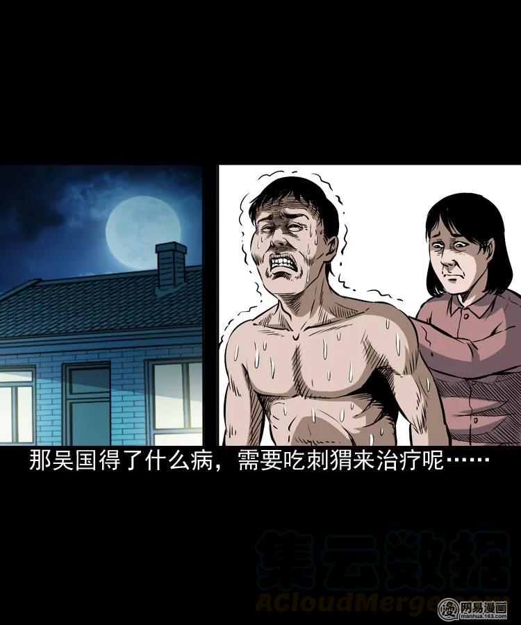 168 刺猬20