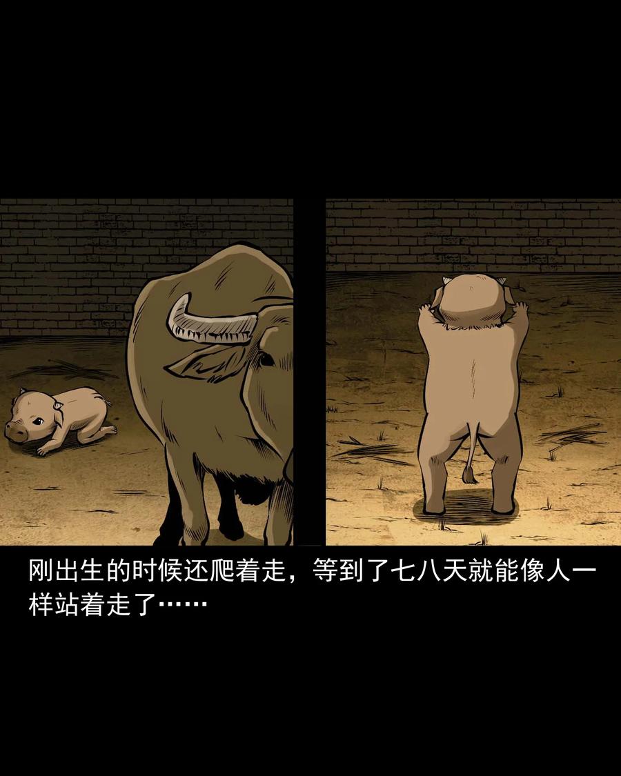 518 老烟鬼9526